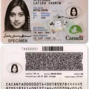 Buy Canada ID Card Online: Real or Fake